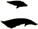 二