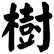 樹