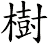 樹