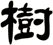 樹