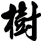 樹