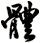 體