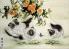 Kittens at Play - Asian Painting
