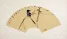 Fan-Style Bird Painting