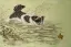 Kitten Chasing Bird - Asian Painting