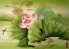 Frogs and Lily Flowers Painting