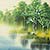 Spring/Summer Asian Cranes Landscape Painting