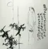 Poetic Feeling - Chinese Painting