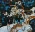Birds and Plum Blossoms Painting