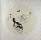 Kittens Painting