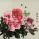 Flower Painting