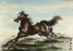 Chinese Horse Portrait