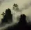 Immortal Guests - Flying Cranes Landscape Painting