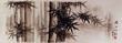 Charcoal Bamboo Landscape Drawing