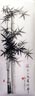 Charcoal Bamboo Drawing