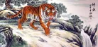 Chinese Tiger on Alert
