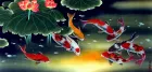 Huge Koi Fish and Lily Painting