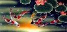 Huge Koi Fish and Lily Painting