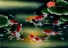 Nine Koi Fish Masterpiece Painting