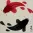 Yin Yang Koi Fish Painting