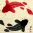 Yin Yang Fish Portrait with Gold Silk Border