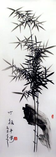 Charcoal Bamboo Portrait
