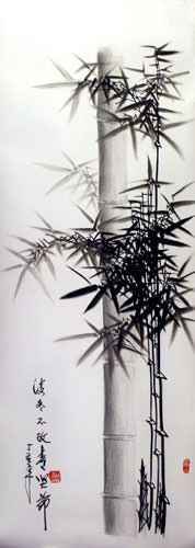 Charcoal Bamboo Portrait