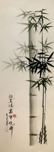 Charcoal Bamboo Portrait